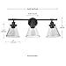 GLOBE Electric 51411 Parker 3-Light Bathroom Light Fixtures, Oil Rubbed Bronze Bathroom Vanity Light, Farmhouse Bathroom Lights Over Mirror with Clear Glass Shades, Bulb Not Included
