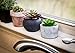 Porcelain Glossy Marble Vase + The Fake Potted Plants Stunningly Realistic Vibe┃Pre-Filled Fake Succulent Plants in Pot┃Fake Desk Plant is Perfect for Sprucing Up The Bathroom