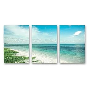 SIGNFORD 3 Piece Canvas Wall Art for Living...