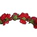 June Bloomy Women Rose Floral Crown Hair Wreath Leave Flower Headband with Adjustable Ribbon (Red)