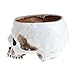 Skull planter , Resin Skull Head Flower Succulent Cactus Planter Pots , Small Object Containers Keys Sugar Candy Bowl, for Home Office Desk Decorations,Halloween Scene Statue Sculpture (White)