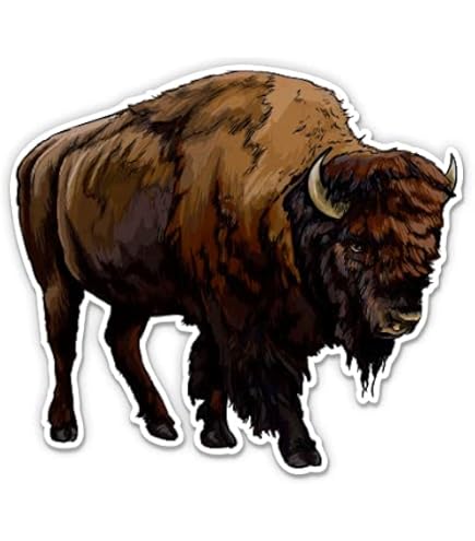 Prateria Piena Del Bisonte Immagine Stock. Immagine Di Grande - 150075657 - Foto 12