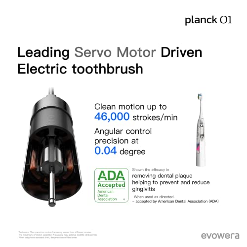 evowera Electric Toothbrush, Leading Servo Motor Driven, ADA Accepted