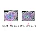 Geyou 5D Diamond Painting Full Drill by Number Kits Flower Stitch DIY Embroidery Diamond Home Decor Gift New,Cross-Stitch Stamped Kits (B)