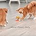 WendyMom Motion Activated Cat Toy Interactive Ball, Catch The Chick, Small