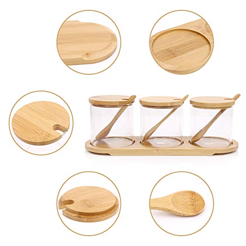 Glass Condiments Containers Seasoning Jars SetKISSTAKER 3 Pack 10 OZ