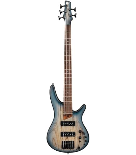 Amazon.com: Ibanez SR505E 5-String - Brown Mahogany : Musical