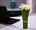 Homeseasons LED Lighted Artificial Flower Arrangement-Battery Operated 7 Heads Calla Lily Light with Green Leaves (White)