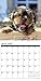 Just Yorkie Puppies 2018 Calendar