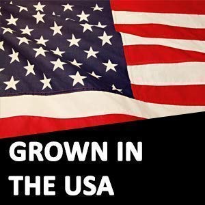3.9 LB WHITE VIRTUALLY HULLESS (LESS HULLS) POPCORN KERNELS • RESEALABLE BAG • USA GROWN • NON-GMO, VEGAN, KOSHER • GREAT FOR MOVIE NIGHT • INTL POP