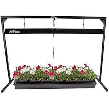 Apollo Horticulture Purple Reign 4' Foot 2 Bulb 54W 6400K Jump Start T5 Grow Light System for Plant Growing