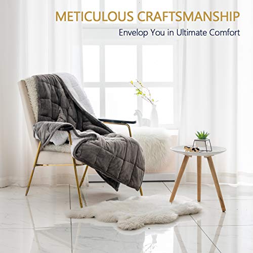 Mr.Sandman Sherpa Weighted Blanket for Adults 15lbs Twin/Full Size Bed, Fuzzy Soft Fleece Throw Blanket with Premium Ceramic Beads - 48\