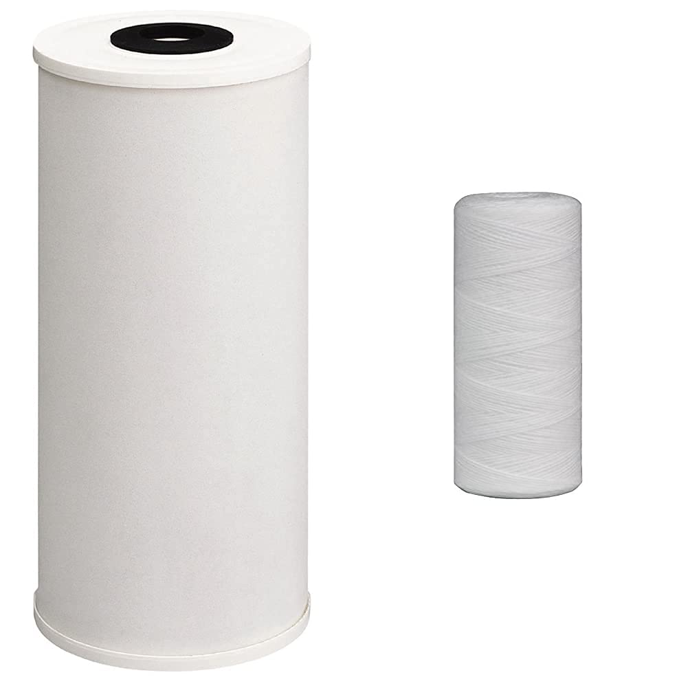 Buy Culligan RFCBBSA Whole House Premium Water Filter, 10,000 Gallon