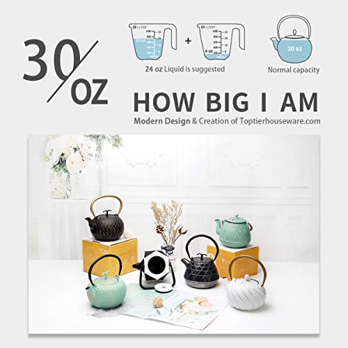 Tea Kettle, TOPTIER Japanese Cast Iron Teapot with Stainless Steel