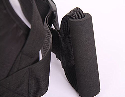 LOLBUY High Strength Childrens Motorcycle Safety Harness Can be Adjusted Up and Down,Black.