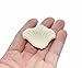 Shenglong Rose Petals for Wedding 5000 Silk Rose Artificial Petals Supplies Wedding Decorations (Ivory)