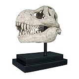 Design Toscano T-Rex Dinosaur Skull Fossil Statue