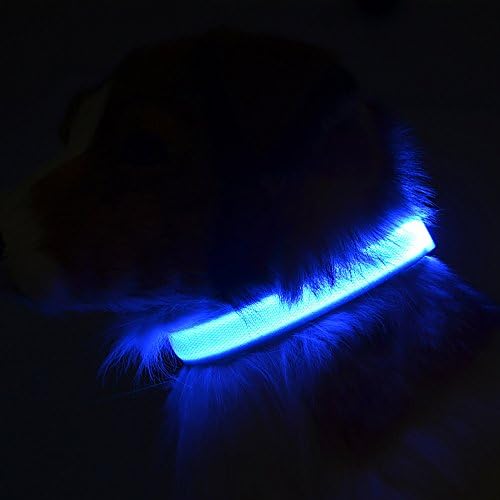 LED Dog Collar with USB Rechargeable, Walking Safety at Night, No Hassle with Replacing Batteries and No Extra Costs(M, Blue)