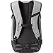 Dakine Heli Pro Backpack 20L (Greyscale)