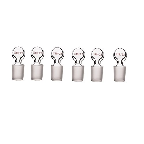Laboy ASS401922L Glass Penny head Hollow Glass Stopper for 19/22 Outer joint (Pack of 6)