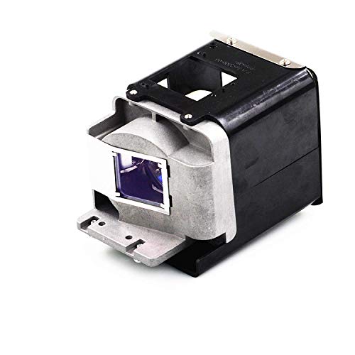 AWO Original Projector Replacement Lamp Bulb BL-FU310A / FX.PM484-2401 with Generic Housing Fit for OPTOMA X501 W501 EH501 EW420 HD151X HD36