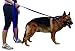 Dog Leashes for Large Dogs + Dog Supplies Dog Products + 8 Ft 2 Inch Extra Long Dog Leash + Nylon Dog Leash + Leashes for Puppies + Pet Supplies for Dogs Leashes + Pet Supplies for Dogs