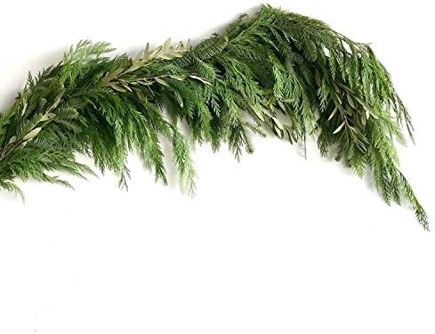 Club Botanic California Greens Holiday Garland | Fresh Foliage Garland | Fresh Holiday Garland | Fresh Christmas Garland | Fresh Decorative Garland | Fresh Garland for Table