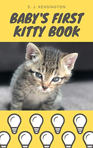 Babys First Kitty Book Kitty Picturebook Kitty Facts For - 