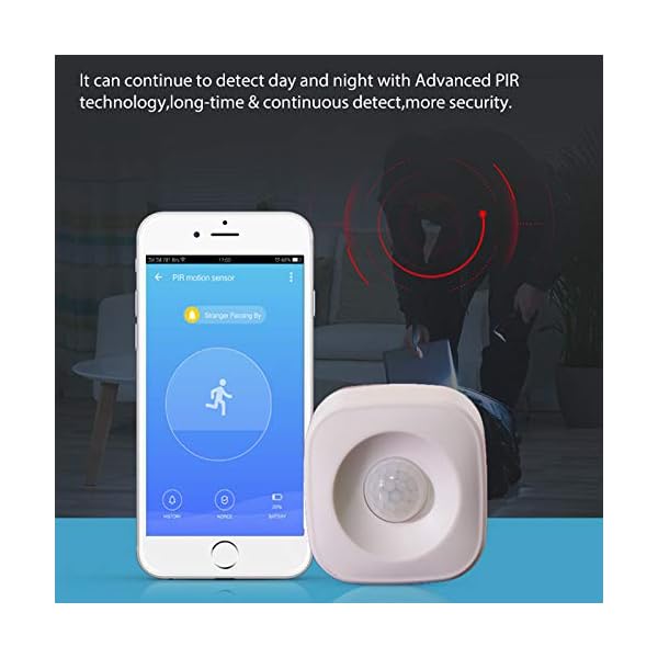 motion sensor compatible with google home