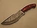 Nescole Custom Handmade Damascus Steel ''Emperors'' Tracker Knife with Leather Sheath