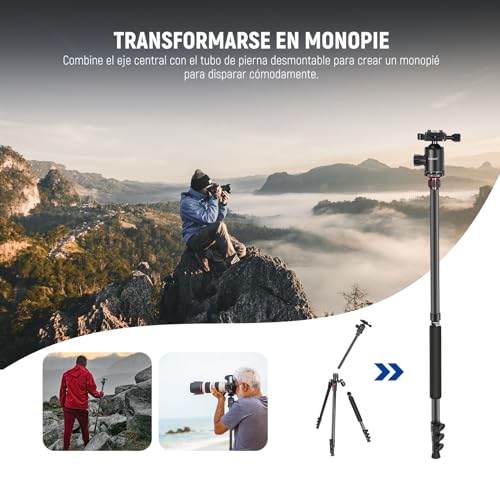 NEEWER Trípode de Cámara de 77 Pulgadas con Rótula de Bola Panorámica de 360°,Columna Central de 2 Ejes,Placa QR Tipo Arca, Aluminio Compacto,Ligero,Carga Máxima de 34 lb, Bolsa de Transporte Incluida