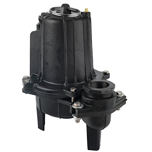 Blue Angel Pumps 100SW 1 HP Commercial-Grade Submersible Sewage Pump