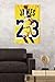 Trends International NBA Los Angeles Lakers - Lebron James 2018 Wall Poster, 22.375