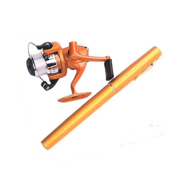 Mini-Travel-Fishing-Fish-Pen-Reel-Rod-Pole-Gift-Alloy-E