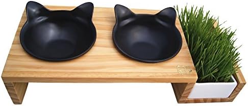 vivipet elevated cat feeder