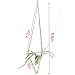 Wall Freestanding Hanging Metal Triangular Shape Tillandsia Air Plant Holder Rack Geometric Himmeli Sculpture Bronze Color (HEIGHT 9.8 inches) No Plants