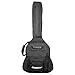 ChromaCast CC-AJPB-BAG Jumbo Gig Bag