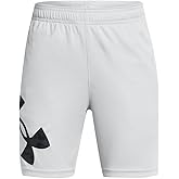 Under Armour Boys Tech Big Logo Shorts