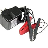 Blackspur BB-JS206 12V Trickle Charger