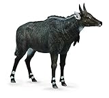 Collecta Nilgai Animal Toy