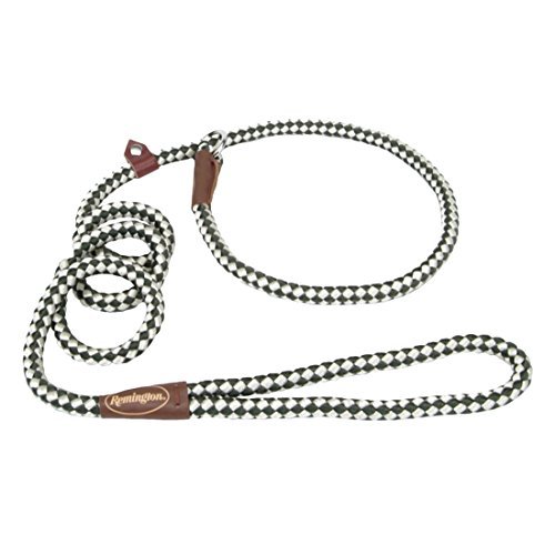 Coastal Pet Products DCPR0216GRW Nylon Remington Rope Slip Dog Leash, 6-Feet, Green/White (2-Pack)
