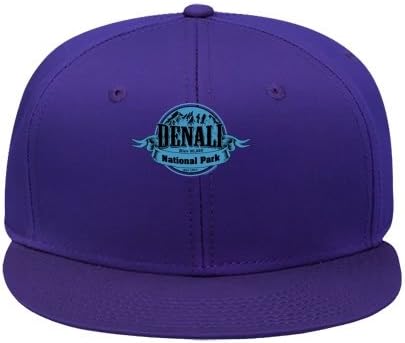 New Arrival Denali National Park Purple Cotton Style Brand Snapback Caps Excellent Hip Hop Caps &amp; Hats Classic Adjustable Sun Capsmale/female Joannaallen