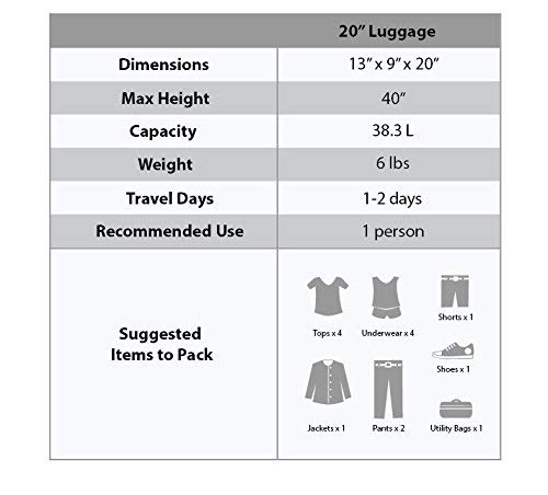 Rockland Safari Hardside Spinner Wheel Luggage, Leopard, Carry-On 20-Inch