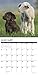 What Labs Teach Us 2020 Wall Calendar (Dog Breed Calendar)