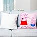 Jerry Fabrics Set of 2 100% Cotton Velvet Soft Blue Pink Cartoon Peppa Pig Decorative Throw Pillow Cover Home Decor Design Set Cushion Case for Sofa Bedroom Car Hiddern Zipper 18×18 Inch(45×45 cm)