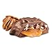 Russell Stover Fall Milk Chocolate Pecan Delight Favorites, 5.4 oz. bagthumb 2