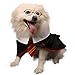 Impoosy Halloween Pet Dog Shirt Puppy Cat Wizard Costume Cute Clothes for Small to Large Dogs Cats Outfits with Glasses (Large)