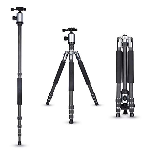 Rollei Allrounder Trépied Titane – 164cm I Trepied Leger pour Votre Appareil Photo et Camera Video I Interchangeable en…