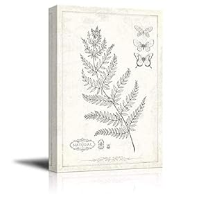 Black White Minimal Tree Butterflies Artwork