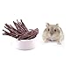 IFaxnn 200g Apple Sticks Pet Snacks Chew Toy for Guinea Pigs Chinchilla Squirrel Rabbits Parrot hamster